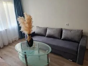 Apartamentai - Bubiai