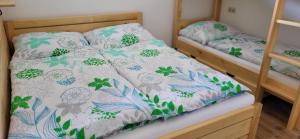 Gartenappartement Hermagor-Nassfeld