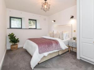 Luxury Mansion in Dublin 18