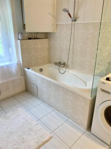 Large Duplex near Luxembourg