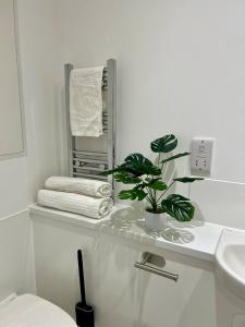 Redcross studio flat 118