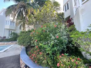 Hummingbird Ocean Lookout -7 Mins to Beach Fun