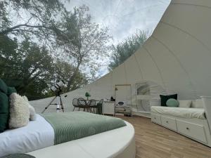 Maisons de vacances Au Domaine du Predieu : photos des chambres