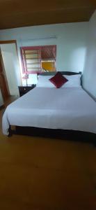 ALOJAMIENTO MI TESORITO