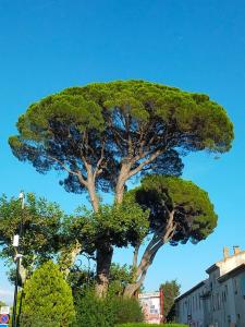 Maisons d'hotes Mas de charme au pied des Alpilles : photos des chambres
