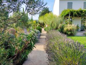 Mas de charme au pied des Alpilles