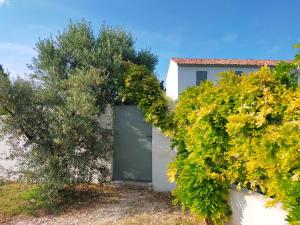 Maisons d'hotes Mas de charme au pied des Alpilles : Appartement Deluxe