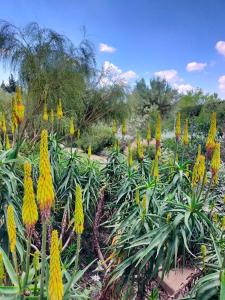 Maisons d'hotes Mas de charme au pied des Alpilles : photos des chambres