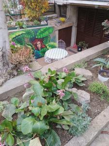 Welcoming 1 studio apartment with terrace