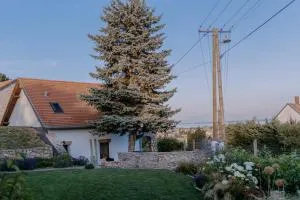 Panorama Vine House - Baricska