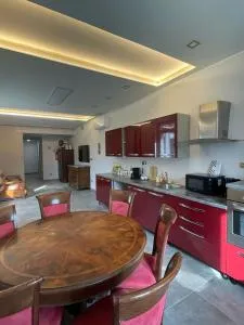 airport apartments piano terra - Ciriè