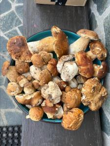 Къща за гости "Домът на Краси"