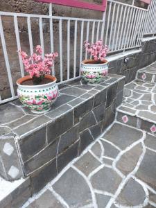 Venias Lake House Apartment 2