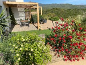 Magnifique appartement vue mer et montagne à Solenzara Corse