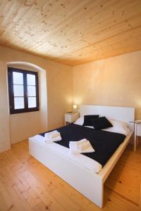 Villa Palace Leonardelli, a luxury renovated baroque villa