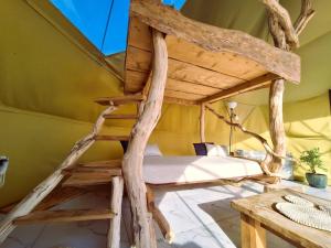 Miško Pašvaistėje - poilsis gamtoje