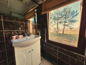 Miško Pašvaistėje - poilsis gamtoje