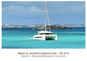 CATAMARAN ZEPHYR NUIT AU MOUILLAGE Diner, nuit et petit-déjeuner inclus - Lower South Hill