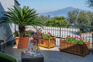 Lantica Pigna Chateau