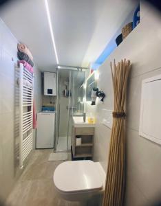Apartment Tartini Piran exclusive rooftop penthouse 