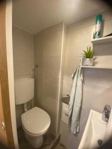 Apartment Tartini Piran exclusive rooftop penthouse 