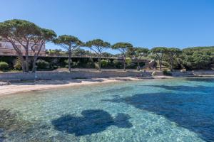 Flat Orizzonte Rosso img17