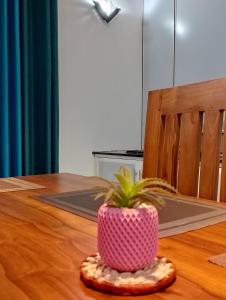 Star Beach Villa