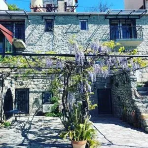 Steinhaus Mimi 1 - 利杰卡科诺杰维卡