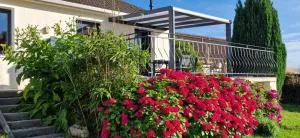 Orée des bruyères - Quiestède