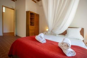 Oasis de calme Avignon 8 personnes