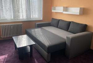 Garsoniera U lesoparku