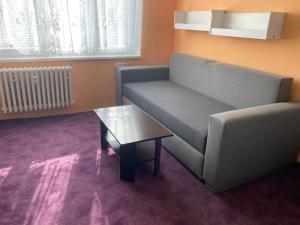 Garsoniera U lesoparku