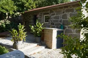 Linden Studio at Terrus Winery - Barrô