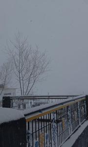 Sunflower Homestay By StayApart