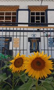 Sunflower Homestay By StayApart