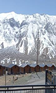 Sunflower Homestay By StayApart