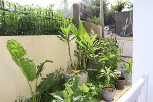 Garden Suite