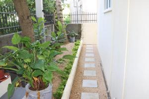 Garden Suite