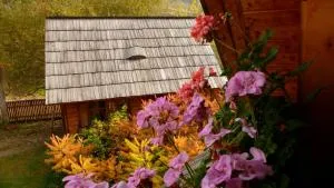 Woodenhouse Maramures - 下维谢乌乡