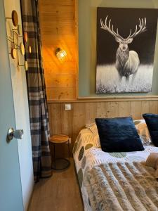 Appartements Logement cosy a la montagne : photos des chambres