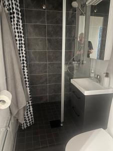 Kemi CITY III near snowcastle, premium 2 rooms , kitchen , glazed balcony, FREE private parking