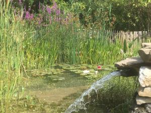 Maisons de vacances La Miellerie Gite du bout du monde La Valbonnette : photos des chambres