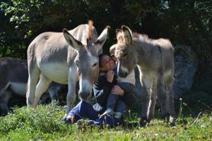 Maisons de vacances La Miellerie Gite du bout du monde La Valbonnette : photos des chambres