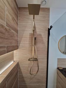 Appartements Le Bois d-Ebene : photos des chambres