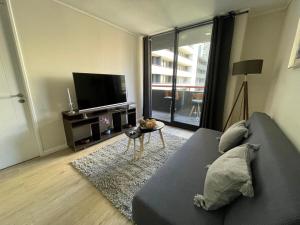 Departamento comodo en Santiago