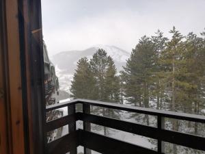 Relax tra i monti di Pescasseroli