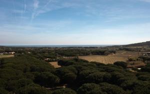 Studio 2 Villalormarin