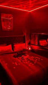 Appartements Romantic apartment near Paris : photos des chambres