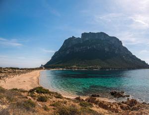 Appartamento Oleandro img28