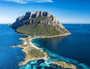 Appartamento Oleandro img27